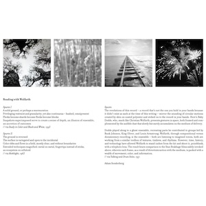 画像2: Christian Wolfarth "Spuren" [Marble LP]