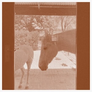 画像1: J.WLSN & Liam Keenan "Country/The Country" [CD]
