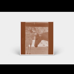 画像2: J.WLSN & Liam Keenan "Country/The Country" [CD]