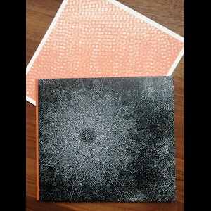 画像4: P.Vivax "Final WAVs" [CD]