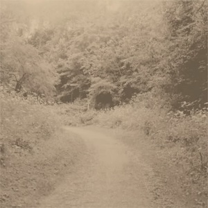 画像1: Izabela Dluzyk "Journey Home" [CD]