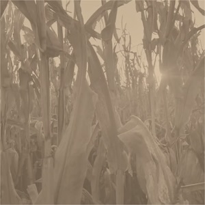 画像1: Annie Dodson "Corn Alone" [CD]