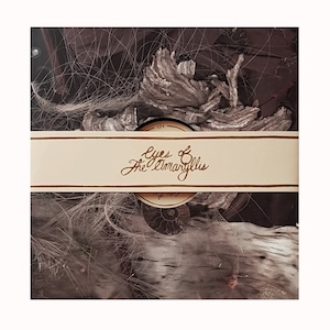 画像1: Eyes of the Amaryllis "Sift" [LP]