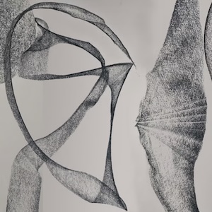 画像1: Kate Carr and Matt Atkins "Organelles" [CD]