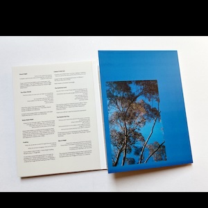 画像3: Niamh O Brien "Ag Iompar Fuaime" [CD + A5 size case]