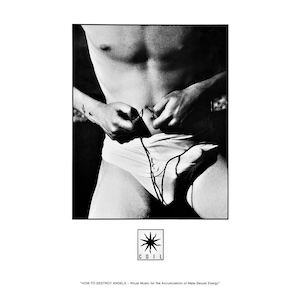 画像3: Coil "How To Destroy Angels" [Green Single Sided LP]